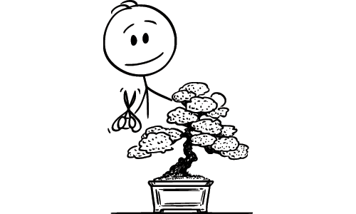 Illustration of Leader Shaping Bonsai Tree